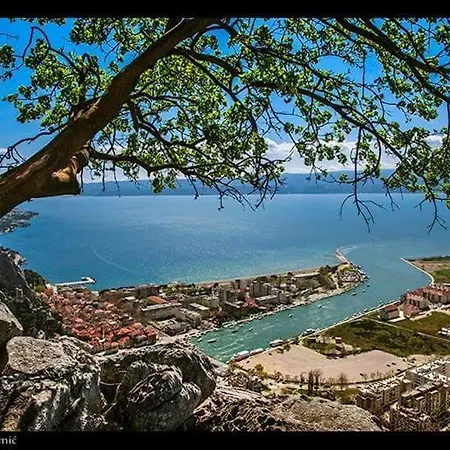 Pesic Omis